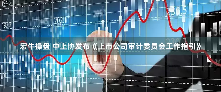 宏牛操盘 中上协发布《上市公司审计委员会工作指引》