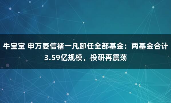 牛宝宝 申万菱信褚一凡卸任全部基金：两基金合计3.59亿规模，投研再震荡