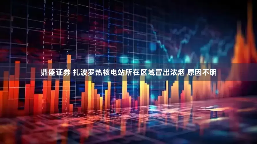 鼎盛证券 扎波罗热核电站所在区域冒出浓烟 原因不明