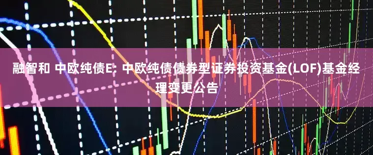 融智和 中欧纯债E: 中欧纯债债券型证券投资基金(LOF)基金经理变更公告